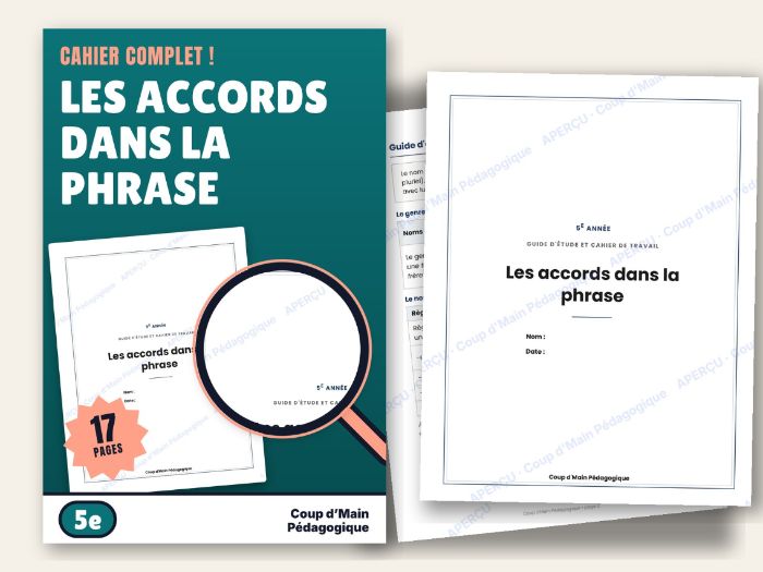 French Grammar Agreement Adjectives Verbs Grade 5 | Les accords dans la phrase