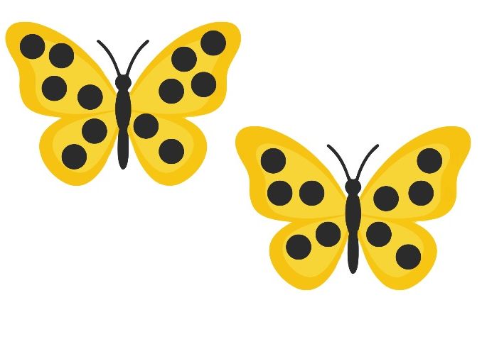 Butterfly Doubling to 6 – Maths Cards with Loose Parts & Display Butterflies