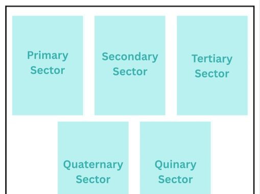Economy Sector Cards
