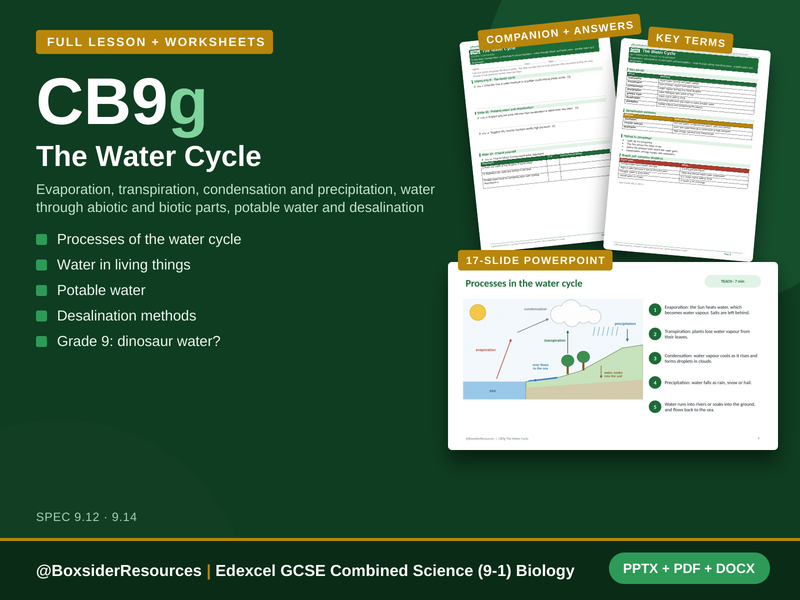CB9g The Water Cycle | Edexcel GCSE Combined Science (9-1) | Lesson + Worksheet