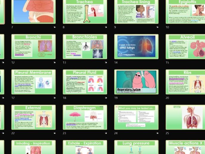 T-Level Health 2026 9.8 Respiratory 9.9 Gaseous exchange and 9.10 COPD