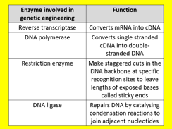 Gel Electrophoresis Worksheet Answers - Worksheet List