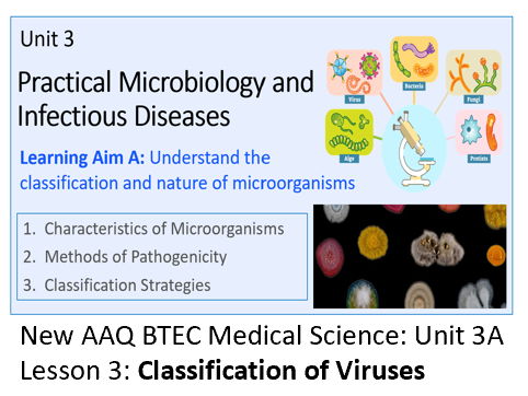 AAQ BTEC Medical Science Unit 3A Classification and Nature of Microorganisms – Lesson 3: Viruses