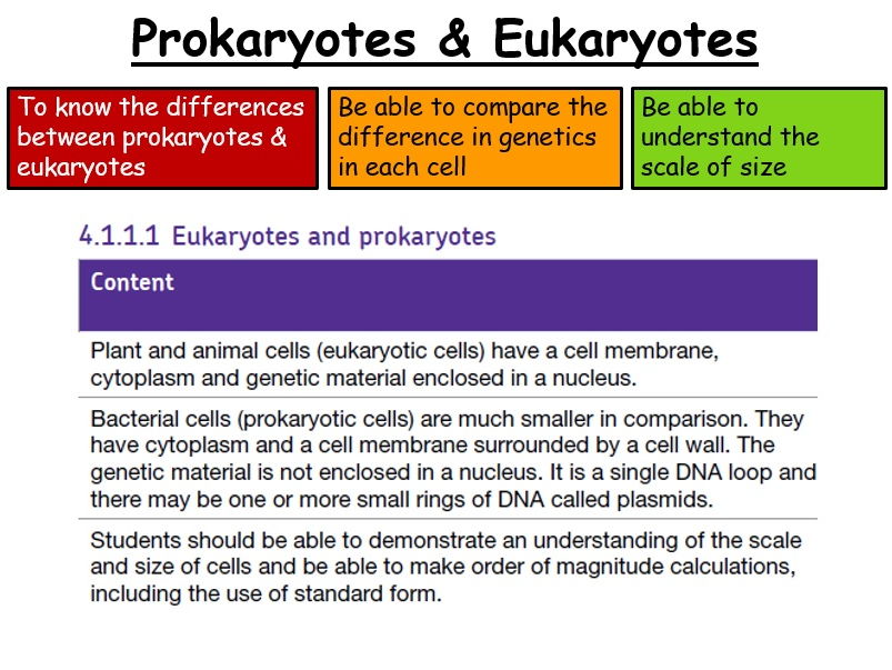 Cell Biology - New AQA GCSE Trilogy (Biology)