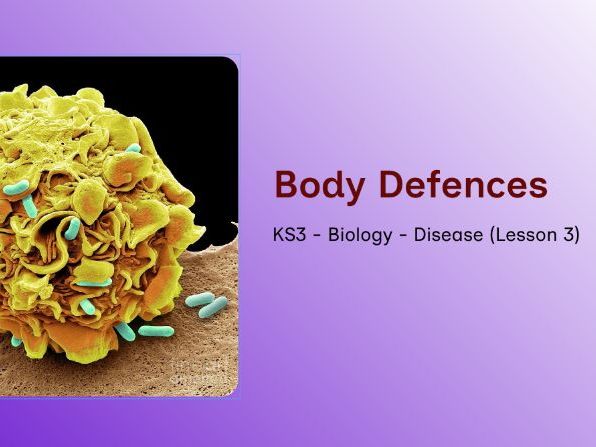 KS3 - Disease Unit - Lesson 3 – The Body’s Defence Systems & Immune Responses