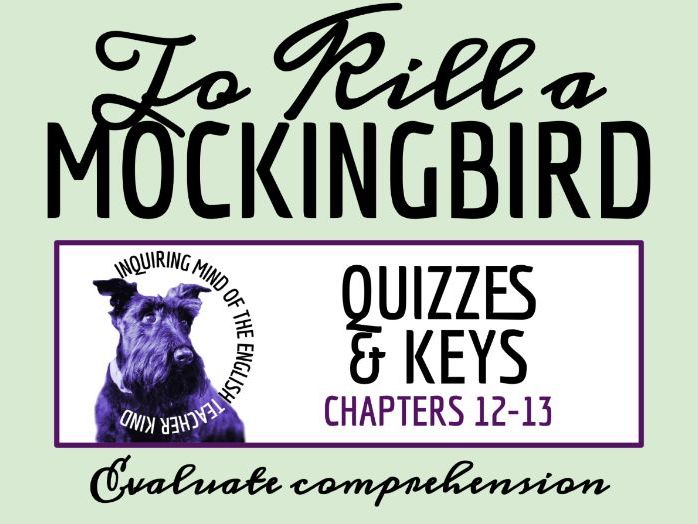 To Kill a Mockingbird Chapters 12 and 13 Quiz and Answer Key | Independent Reading Worksheet