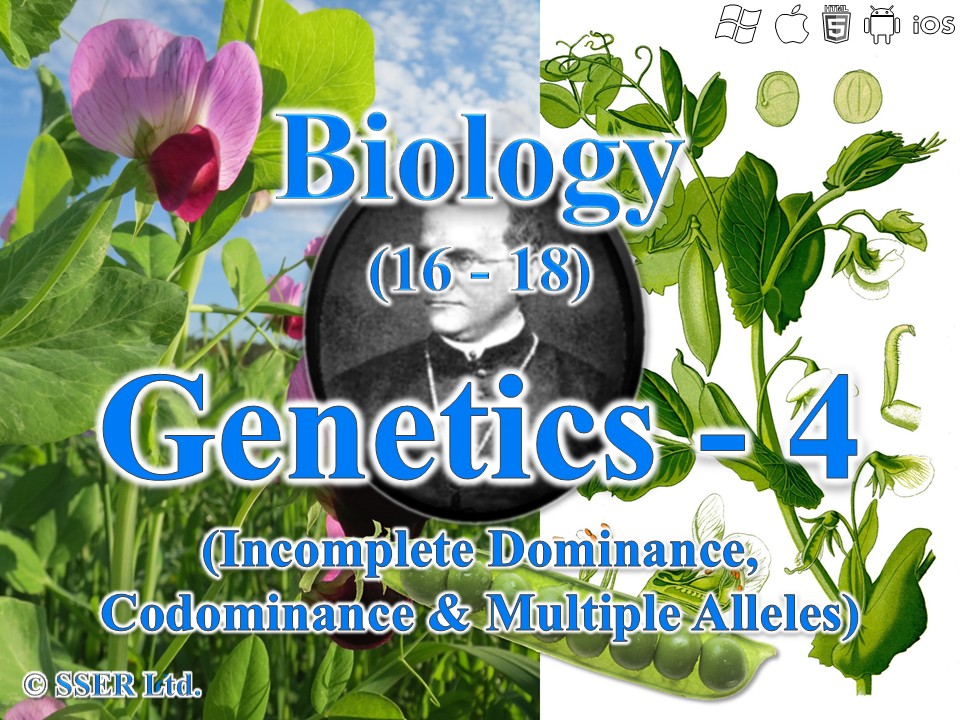 BioA_3.7.1 Genetics 4 - Incomplete Dominance, Codominance & Multiple Alleles