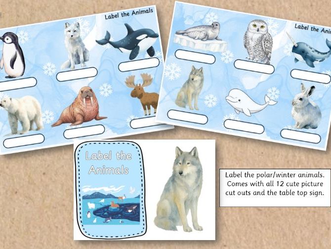 Label the Polar/Winter Animals