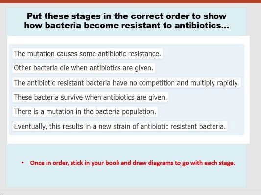 Antibiotic Resistance