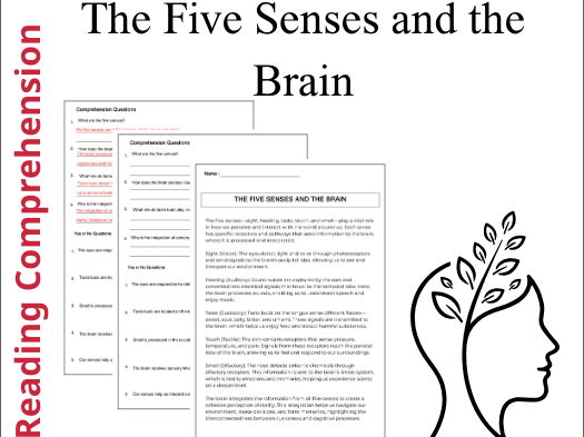 The Five Senses and the Brain Reading Comprehension Passages & Questions Worksheets