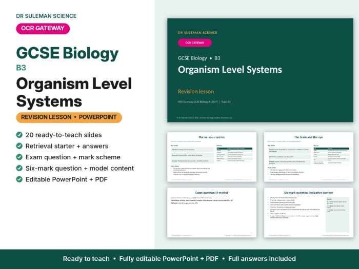 OCR Gateway GCSE Biology B3 Organism Level Systems Revision Lesson PPT