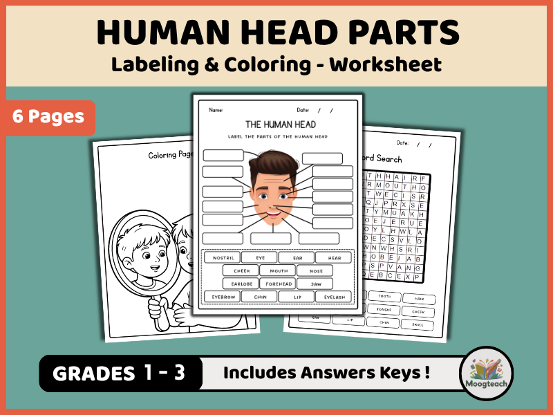 Human Head Anatomy | External Body Parts | Labeling & Coloring | Biology | Science Worksheet | KS1 |
