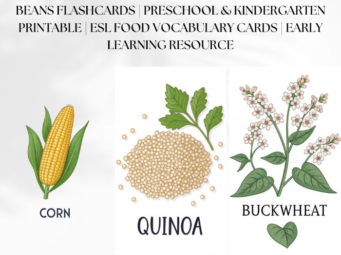 Beans Flashcards | Preschool & Kindergarten Printable | ESL Food Vocabulary Cards | Early Learning