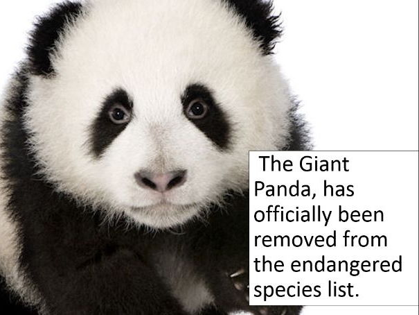 Assembly - Good things from 2016