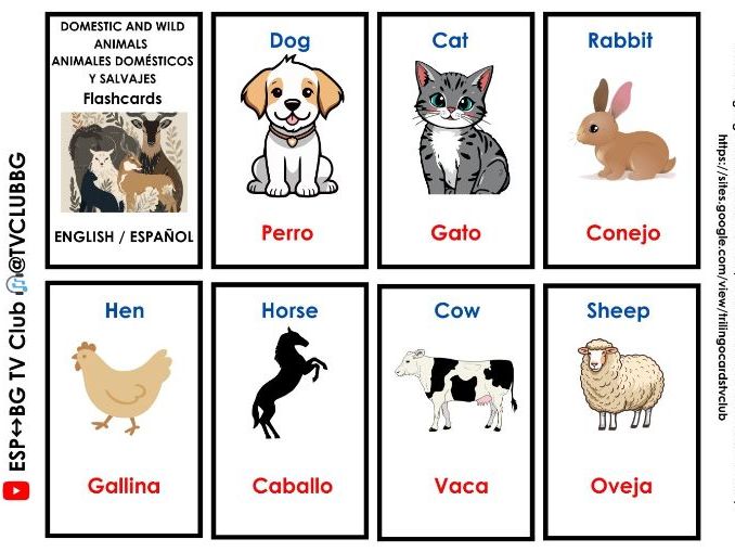 English Spanish nature vocabulary 96 cards