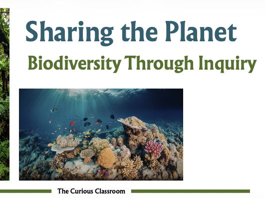 Transdisciplinary Lesson Plan