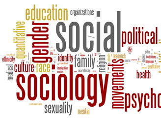 Sociology (A Level or Level 3 equivalent) Crime, Health and Research Methods