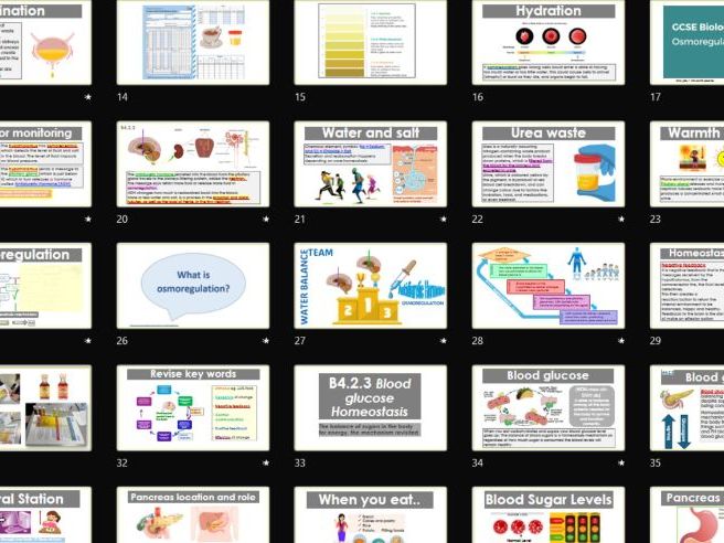 AAQ BTEC Health & Social Care Unit 2 Human Biology A4. Homeostasis & B4 Endocrine