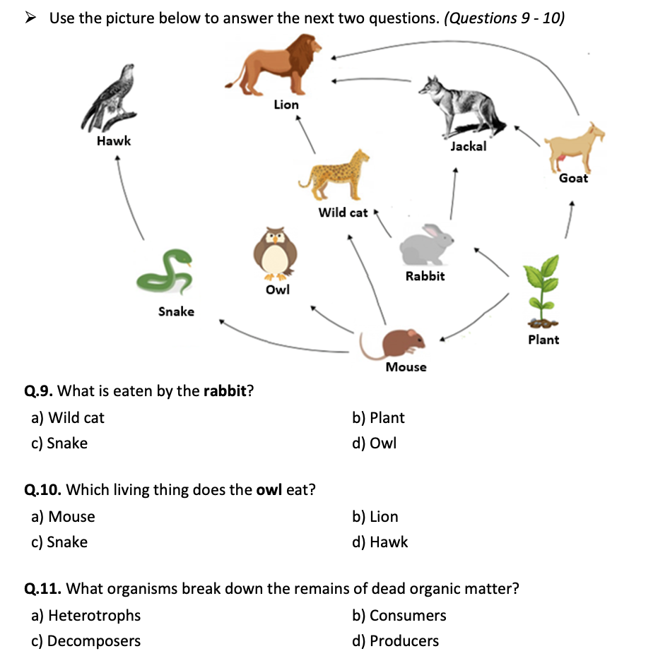 Ecosystems - Unit Review Test (40 Multiple Choice Questions) | Teaching ...