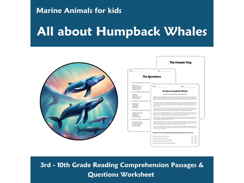 All About Humpback Whales - Reading Comprehension Passages & Questions ...