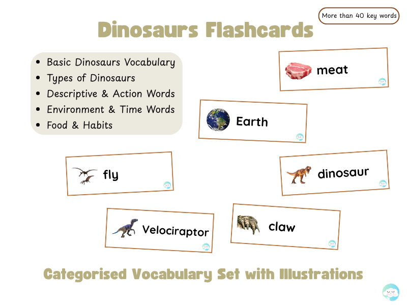 Dinosaurs Flashcards – Categorised Vocabulary Set with Illustrations