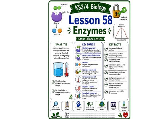 Enzymes cover lesson (L58) Biology