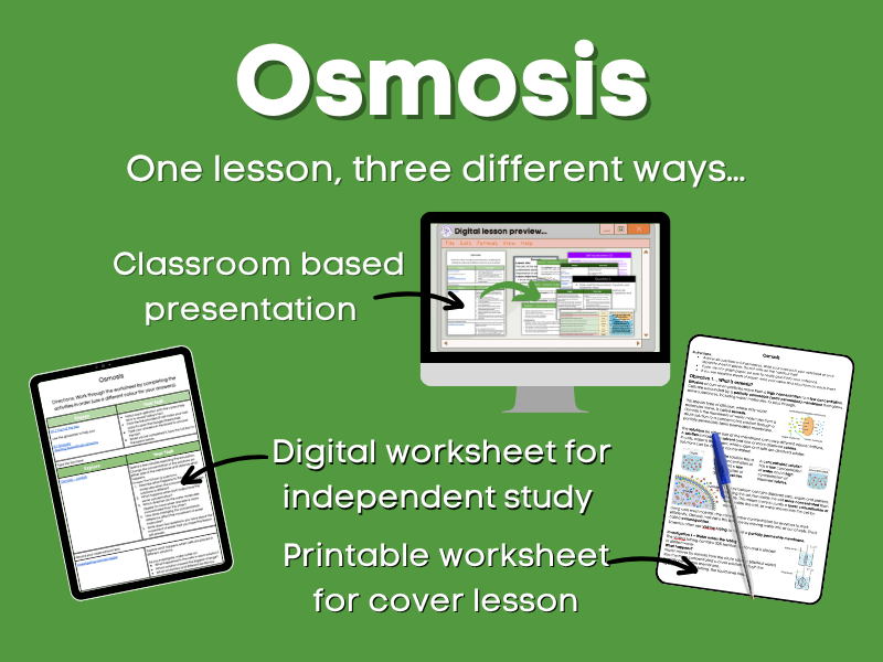 Osmosis Lesson bundle