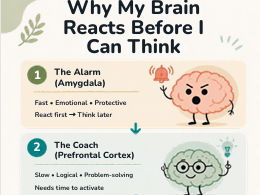 Teaching young People about their Brain