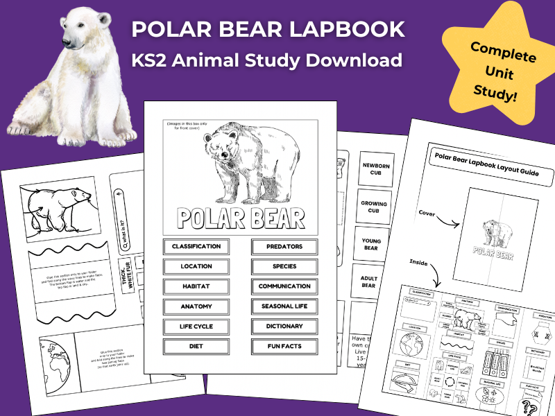 Polar Bear KS2 Animal Science Activities | Lapbook