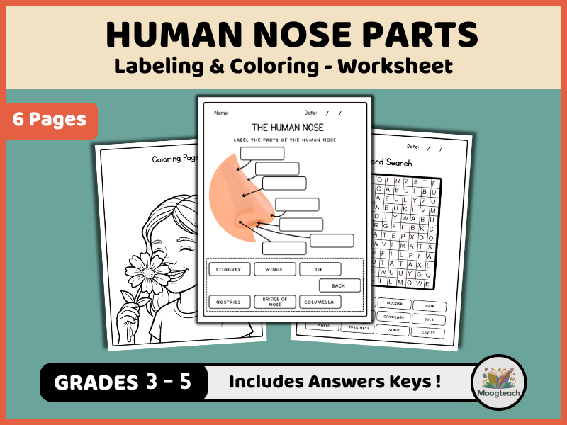Human Nose Parts | The Five Senses | Labeling | Biology | Coloring Worksheet | EYFS | KS1 | KS2