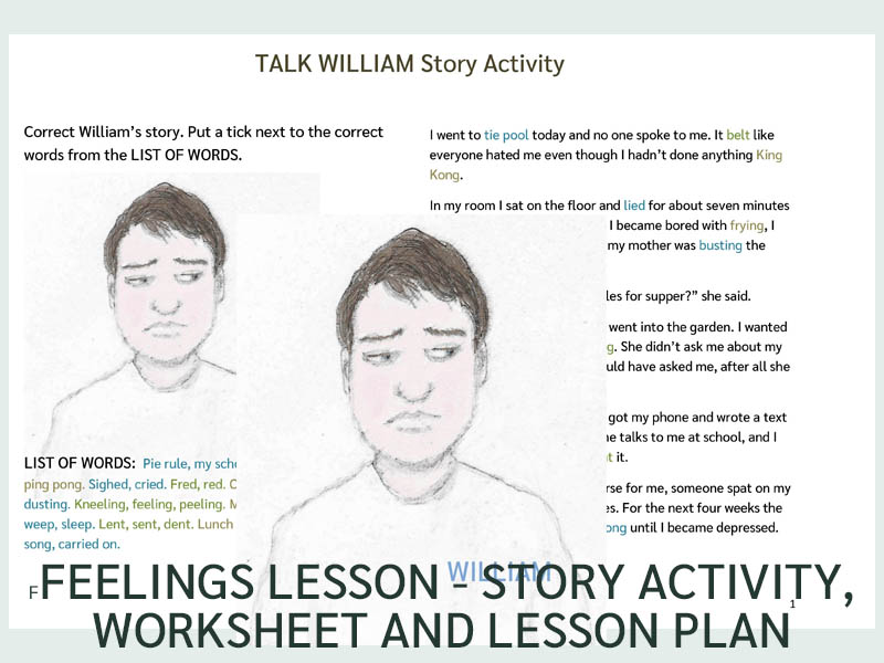 Feelings Lesson - Story Activity, Worksheet and Lesson (US)