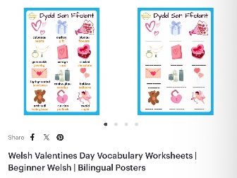 Welsh Valentines Day Vocabulary Worksheets | Beginner Welsh | Bilingual Posters