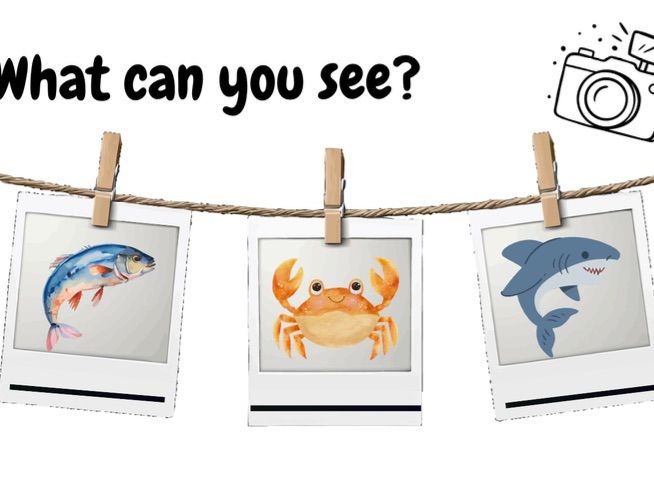 What can you see? Ocean themed