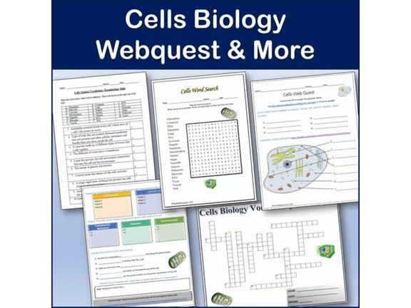 Cells Webquest | Editable Digital Science Activities & Puzzles