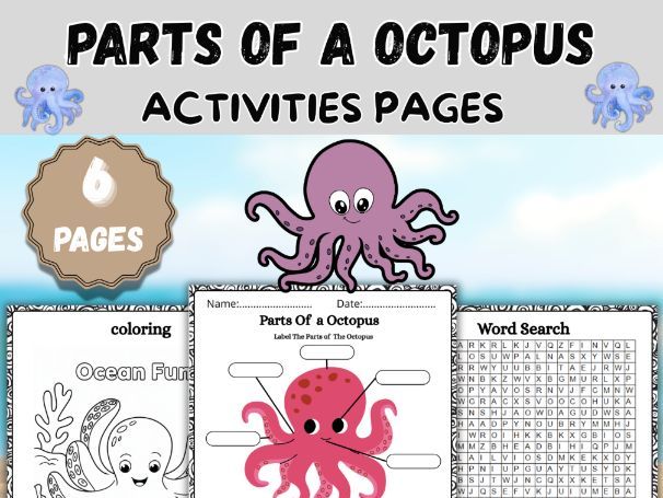 Parts of an Octopus Activitie