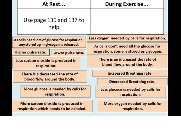 Response to Exercise