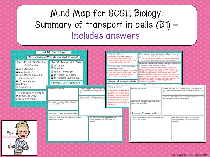 GCSE Biology Revision: Transport in Cells | Teaching Resources