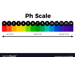 Reactions with Acids and Alkalis