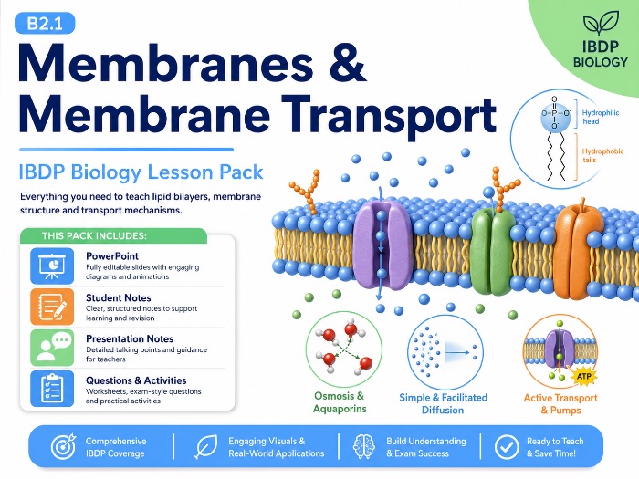 IB Biology B2.1 Membranes & Membrane Transport | SL & HL Lesson Pack
