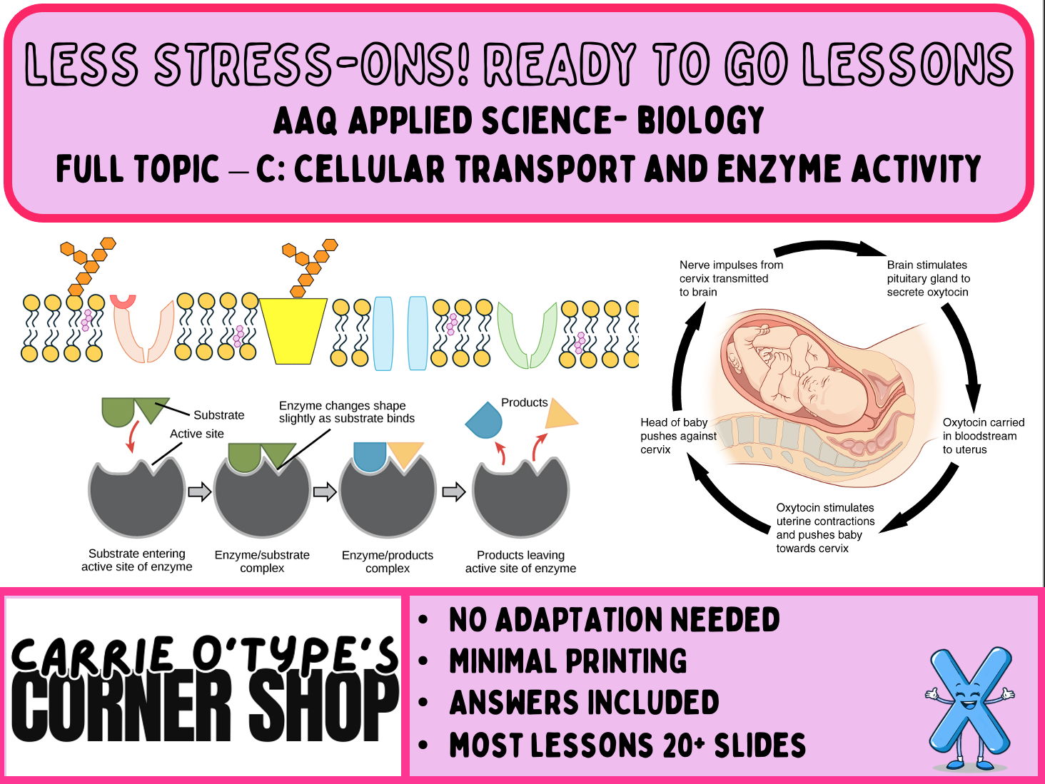 AAQ Pearson Applied Science - Transport and Enzymes