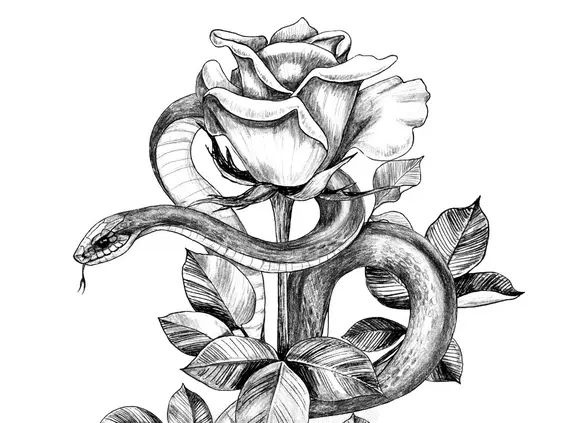 Literature Plot Overviews