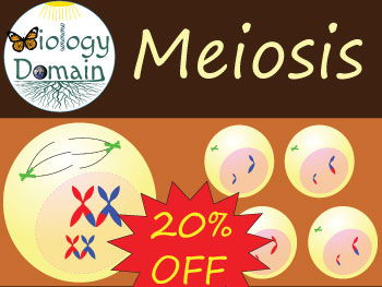 Cell Division: Meiosis Bundle Save 20%!
