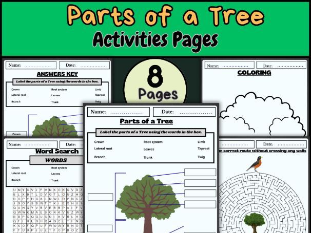 Parts of a Tree/Tree Diagram/Tree Labeling Worksheet/Tree Activities