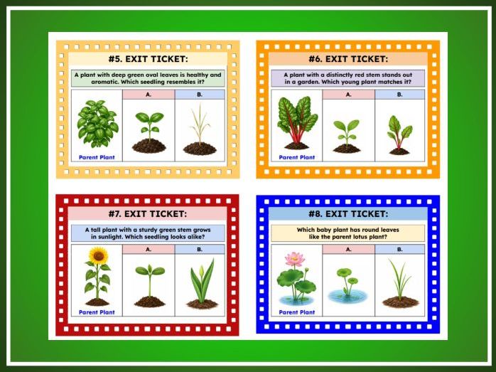 Baby Plants Look Like Parent Plants | Kindergarten Science | TEKS K.13D