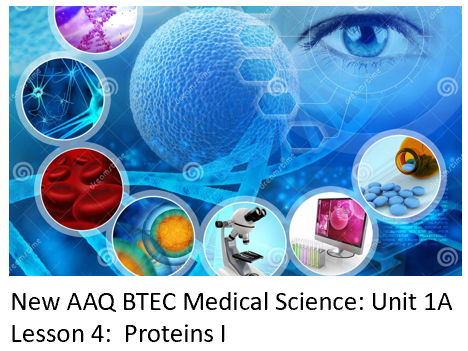 NEW: AAQ BTEC Medical Science Unit 1A - Lesson 4 Proteins I