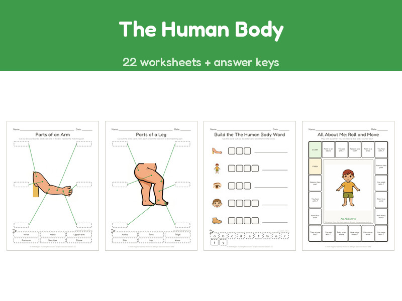 The Human Body | 22 No-Prep Worksheets + Answer Keys | Ages 5-7