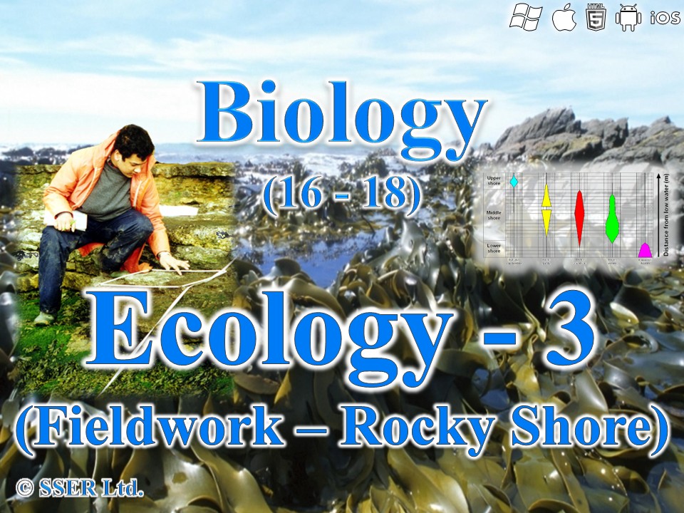 BioA_3.7.4 Ecology 3 - Rocky Shore Fieldwork