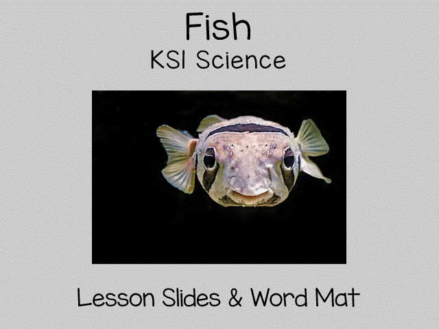 All About Fish KS1 science  | Teaching Slides, Writing Examples & Vocabulary Mat
