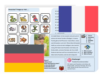 Pets (French &  German) - Complete Unit with Assessment & Mark Scheme (also suitable for cover)