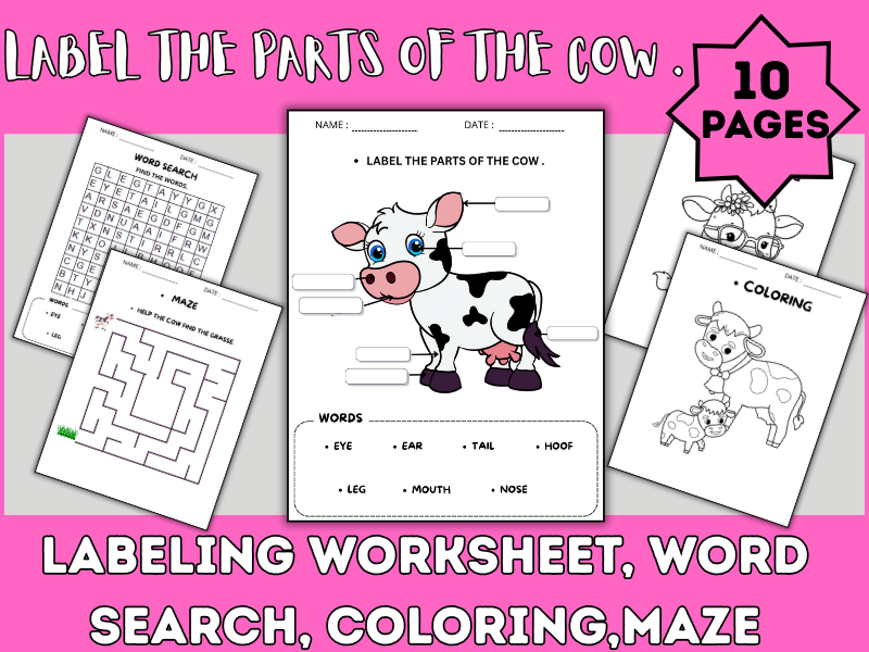 LABEL THE PARTS OF THE COW